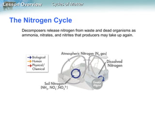 Lesson Overview

Cycles of Matter

The Nitrogen Cycle
Decomposers release nitrogen from waste and dead organisms as
ammonia, nitrates, and nitrites that producers may take up again.

 