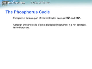 Lesson Overview

Cycles of Matter

The Phosphorus Cycle
Phosphorus forms a part of vital molecules such as DNA and RNA.
Although phosphorus is of great biological importance, it is not abundant
in the biosphere.

 
