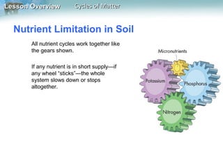 Lesson Overview

Cycles of Matter

Nutrient Limitation in Soil
All nutrient cycles work together like
the gears shown.
If any nutrient is in short supply—if
any wheel “sticks”—the whole
system slows down or stops
altogether.

 