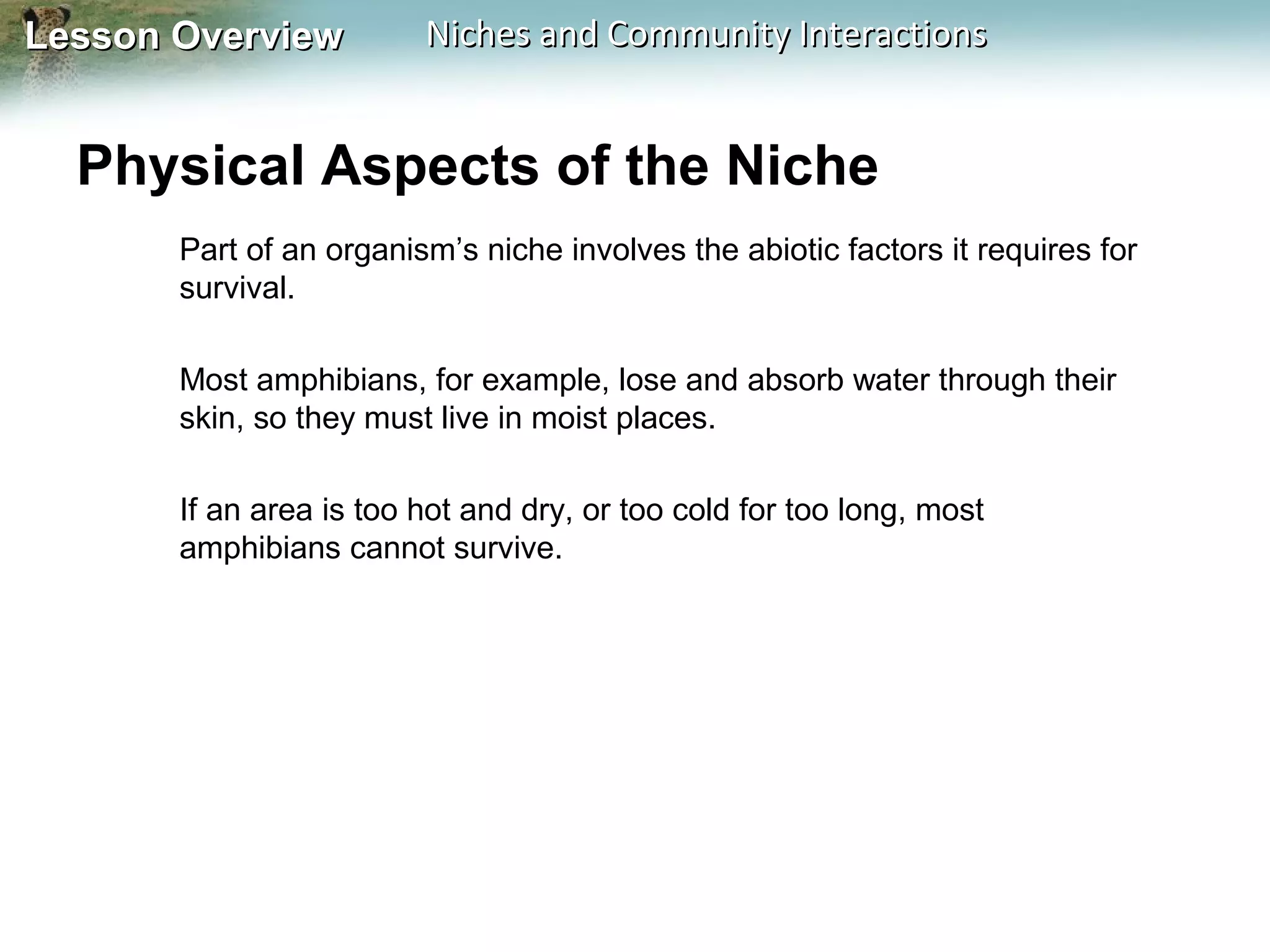 Lesson Overview

Niches and Community Interactions

Physical Aspects of the Niche
Part of an organism’s niche involves the abiotic factors it requires for
survival.
Most amphibians, for example, lose and absorb water through their
skin, so they must live in moist places.
If an area is too hot and dry, or too cold for too long, most
amphibians cannot survive.

 