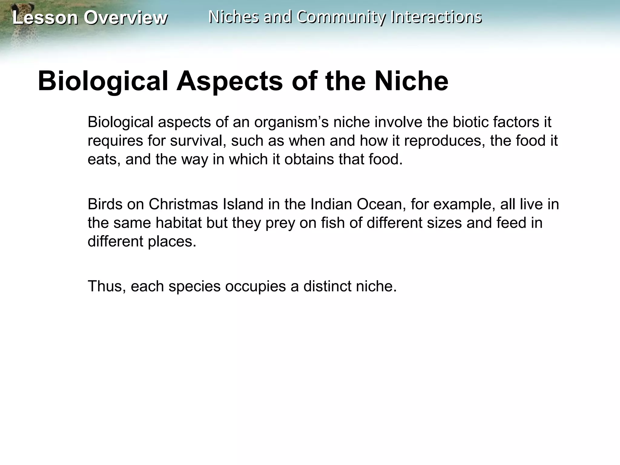 Lesson Overview

Niches and Community Interactions

Biological Aspects of the Niche
Biological aspects of an organism’s niche involve the biotic factors it
requires for survival, such as when and how it reproduces, the food it
eats, and the way in which it obtains that food.
Birds on Christmas Island in the Indian Ocean, for example, all live in
the same habitat but they prey on fish of different sizes and feed in
different places.
Thus, each species occupies a distinct niche.

 