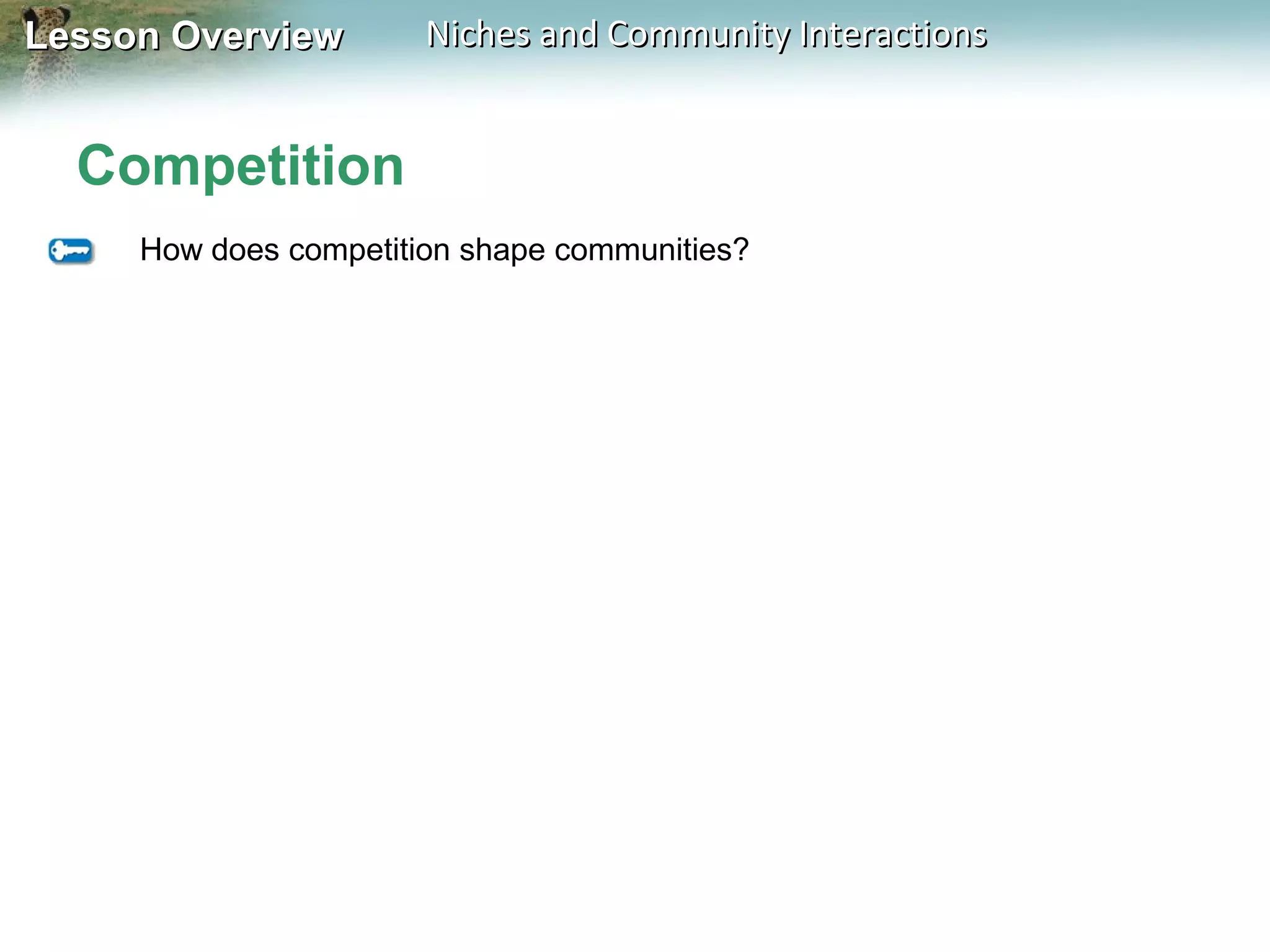 Lesson Overview

Niches and Community Interactions

Competition
How does competition shape communities?

 