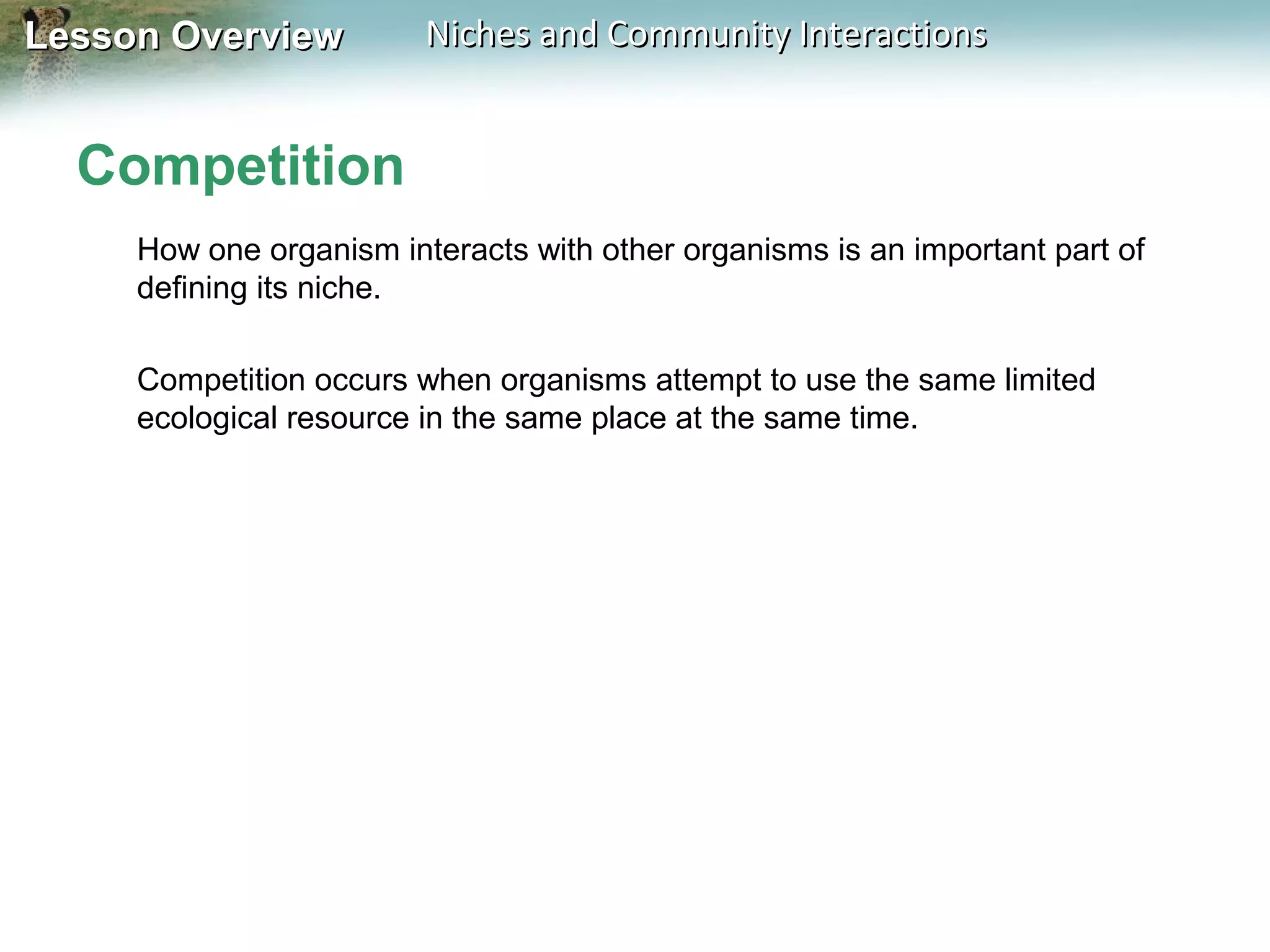Lesson Overview

Niches and Community Interactions

Competition
How one organism interacts with other organisms is an important part of
defining its niche.
Competition occurs when organisms attempt to use the same limited
ecological resource in the same place at the same time.

 