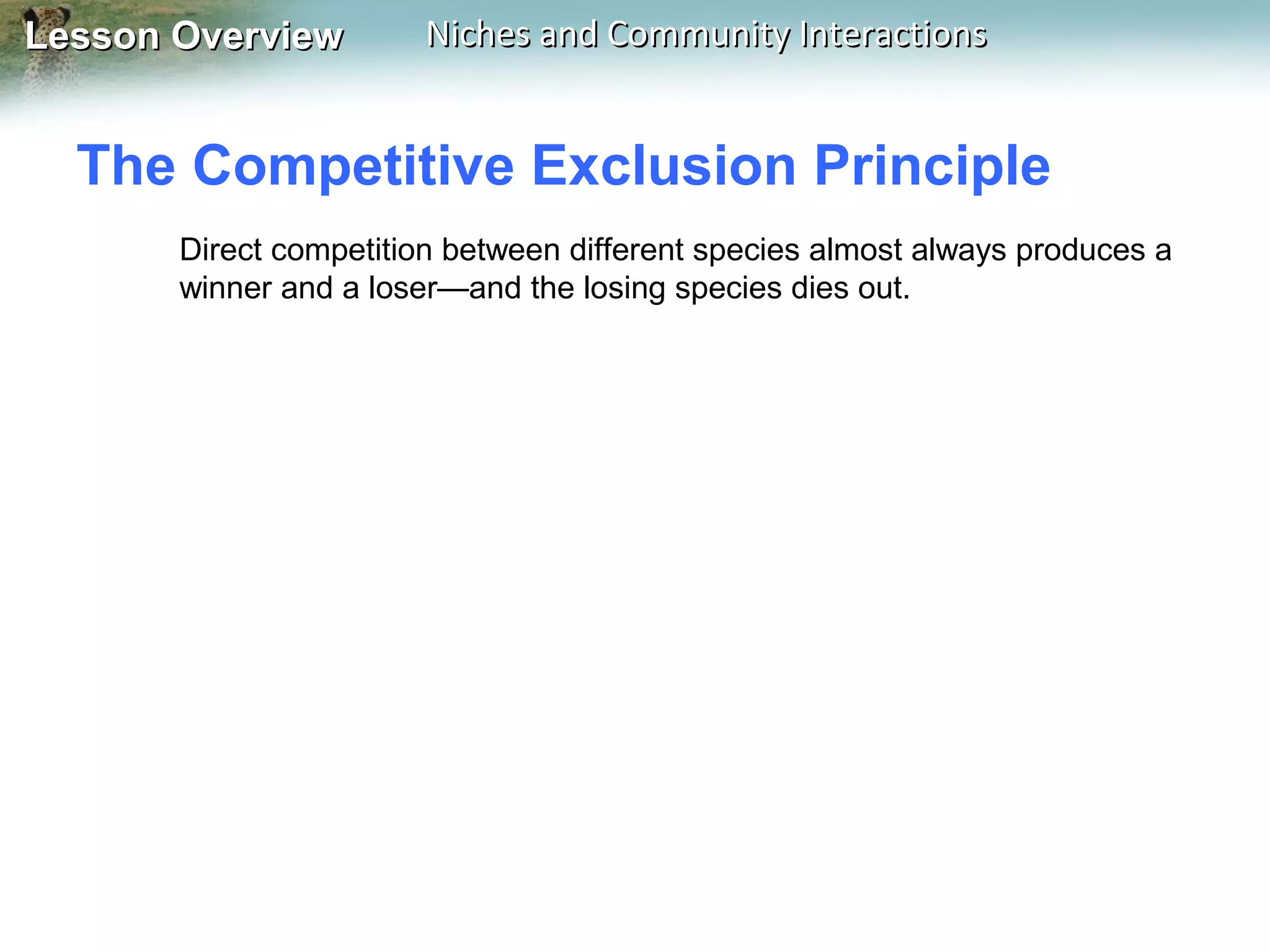 Lesson Overview

Niches and Community Interactions

The Competitive Exclusion Principle
Direct competition between different species almost always produces a
winner and a loser—and the losing species dies out.

 