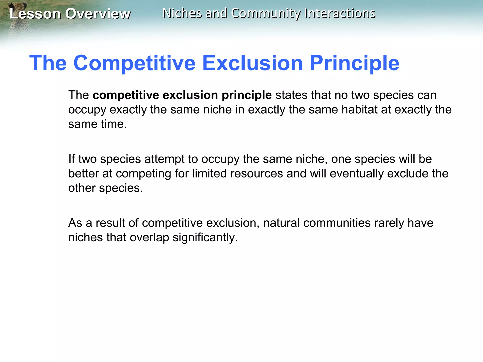 Lesson Overview

Niches and Community Interactions

The Competitive Exclusion Principle
The competitive exclusion principle states that no two species can
occupy exactly the same niche in exactly the same habitat at exactly the
same time.
If two species attempt to occupy the same niche, one species will be
better at competing for limited resources and will eventually exclude the
other species.
As a result of competitive exclusion, natural communities rarely have
niches that overlap significantly.

 