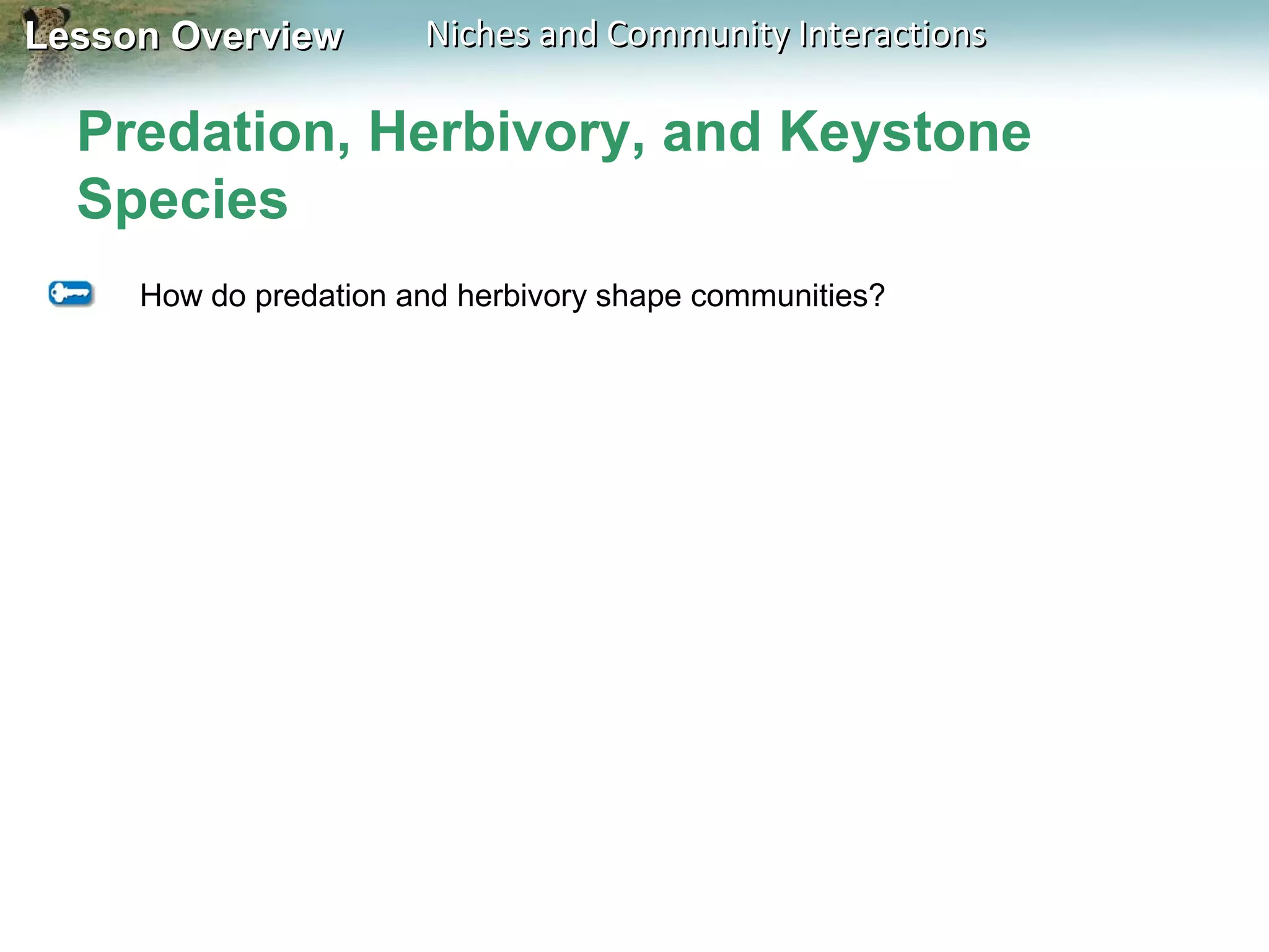 Lesson Overview

Niches and Community Interactions

Predation, Herbivory, and Keystone
Species
How do predation and herbivory shape communities?

 