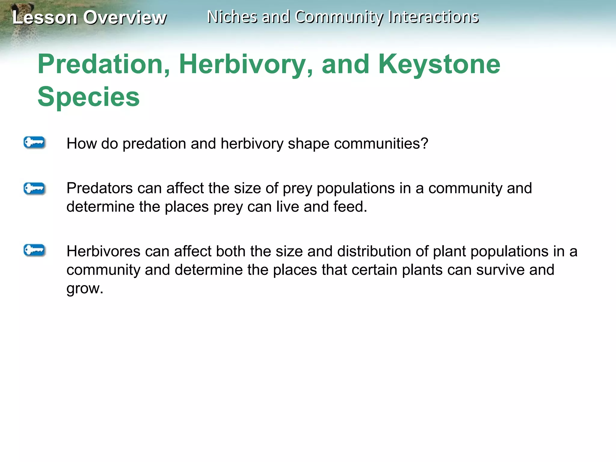 Lesson Overview

Niches and Community Interactions

Predation, Herbivory, and Keystone
Species
How do predation and herbivory shape communities?
Predators can affect the size of prey populations in a community and
determine the places prey can live and feed.
Herbivores can affect both the size and distribution of plant populations in a
community and determine the places that certain plants can survive and
grow.

 
