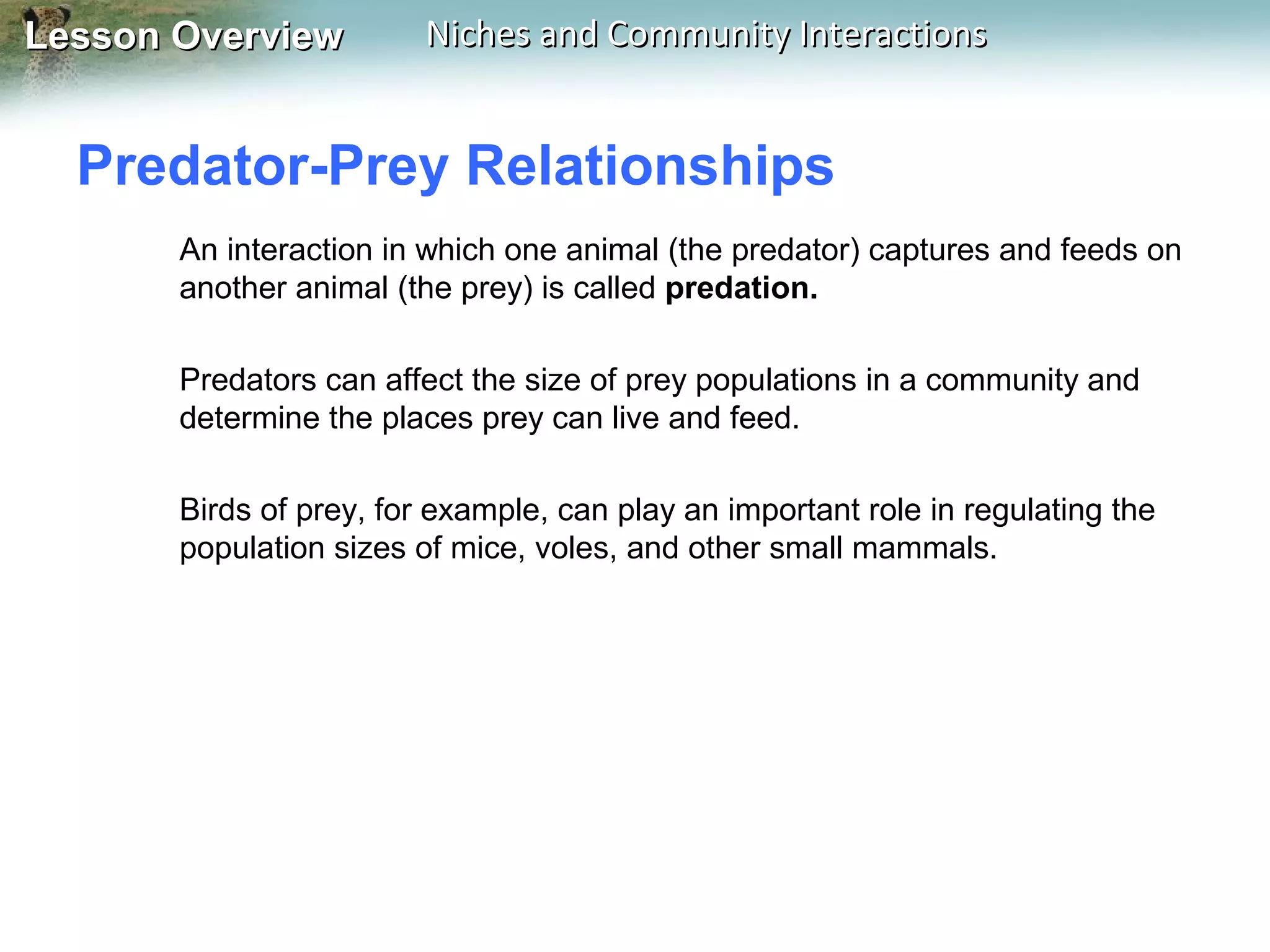 Lesson Overview

Niches and Community Interactions

Predator-Prey Relationships
An interaction in which one animal (the predator) captures and feeds on
another animal (the prey) is called predation.
Predators can affect the size of prey populations in a community and
determine the places prey can live and feed.
Birds of prey, for example, can play an important role in regulating the
population sizes of mice, voles, and other small mammals.

 