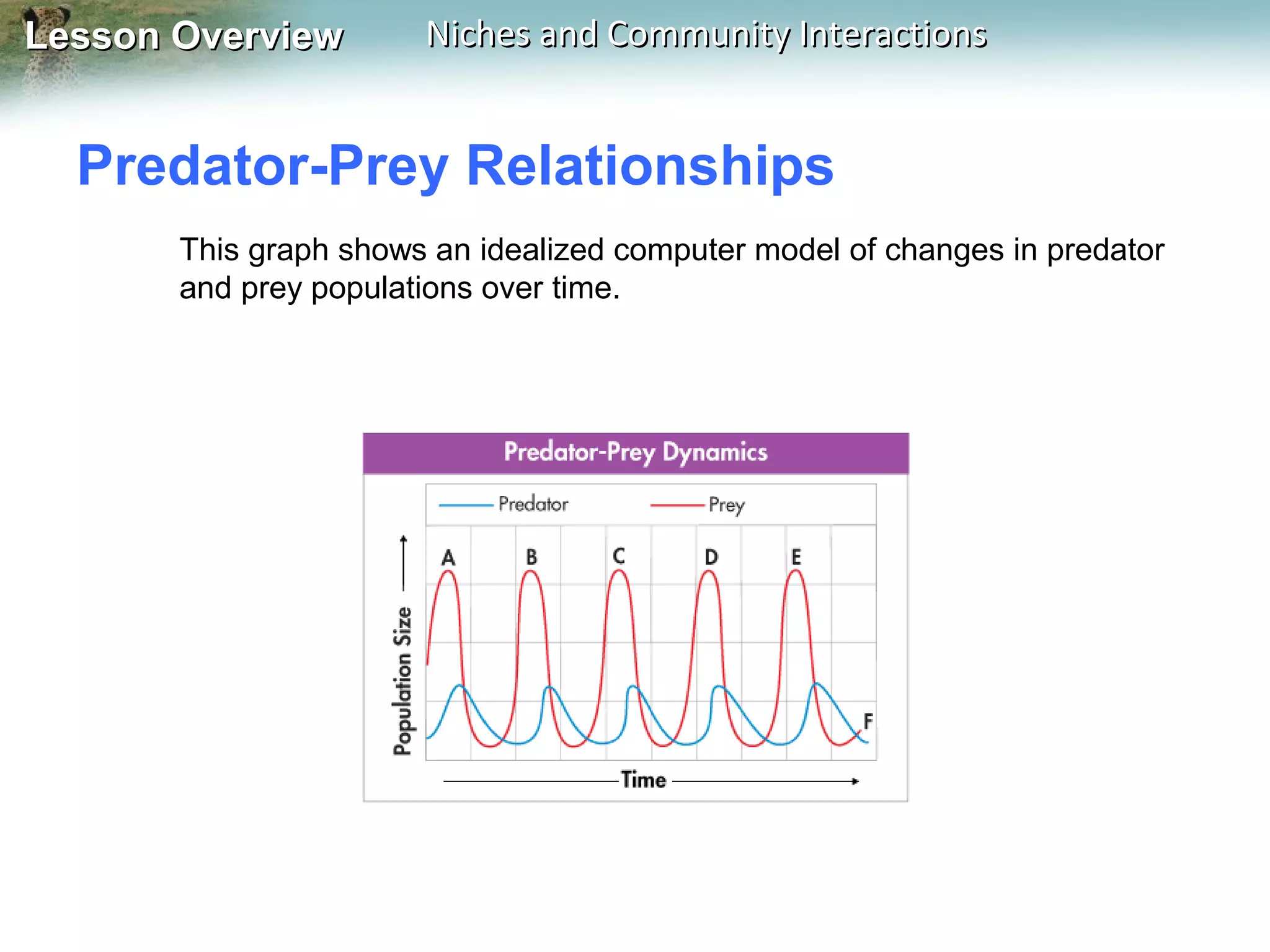 Lesson Overview

Niches and Community Interactions

Predator-Prey Relationships
This graph shows an idealized computer model of changes in predator
and prey populations over time.

 