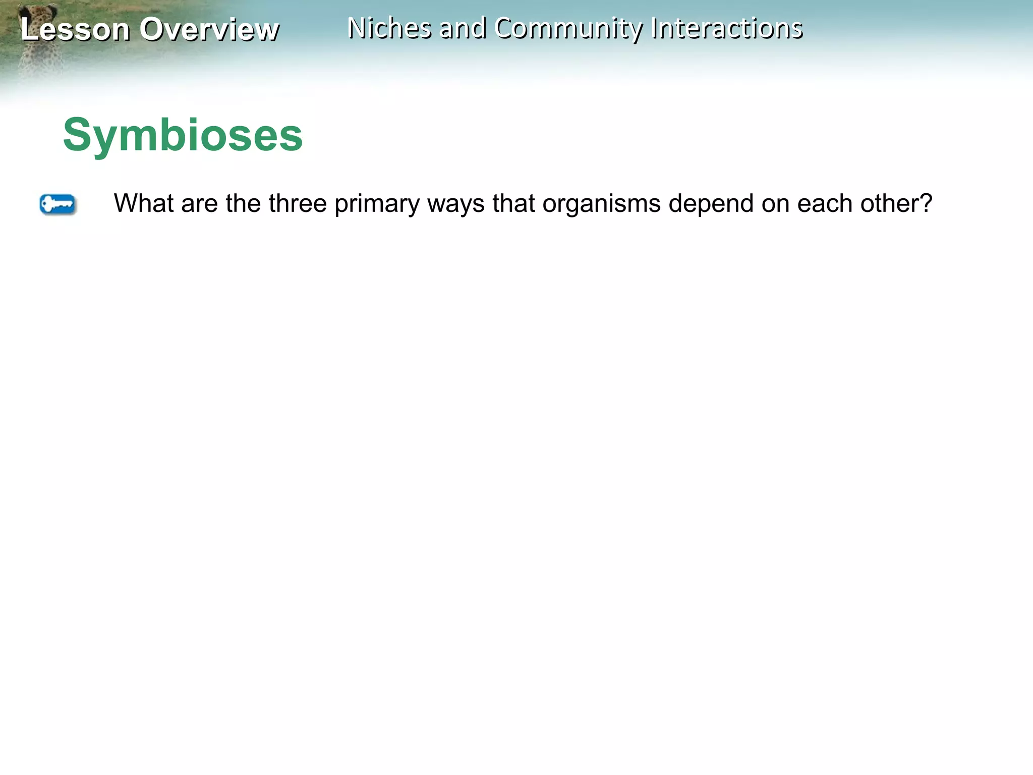 Lesson Overview

Niches and Community Interactions

Symbioses
What are the three primary ways that organisms depend on each other?

 