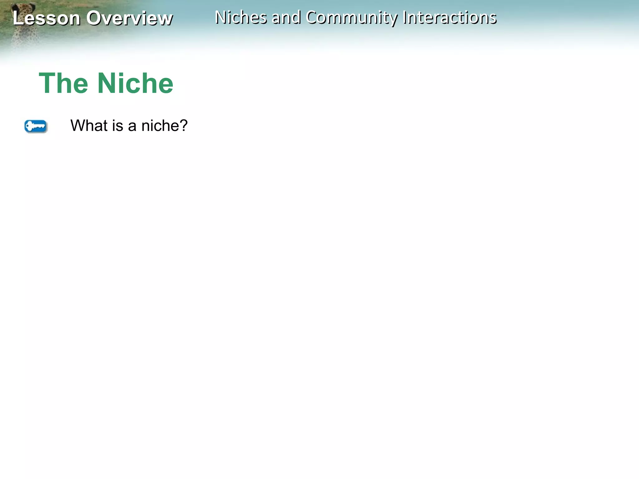 Lesson Overview

The Niche
What is a niche?

Niches and Community Interactions

 