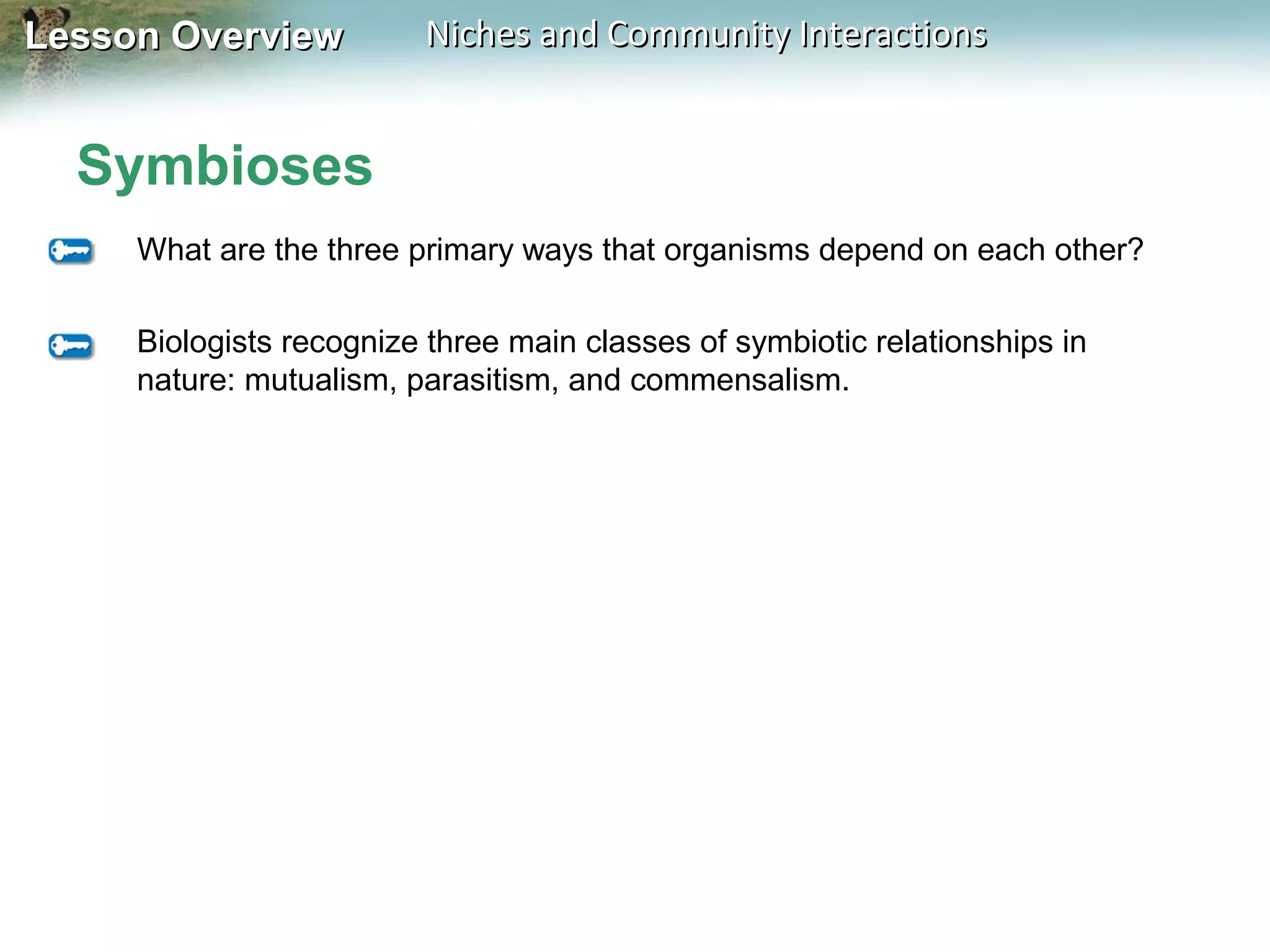 Lesson Overview

Niches and Community Interactions

Symbioses
What are the three primary ways that organisms depend on each other?
Biologists recognize three main classes of symbiotic relationships in
nature: mutualism, parasitism, and commensalism.

 