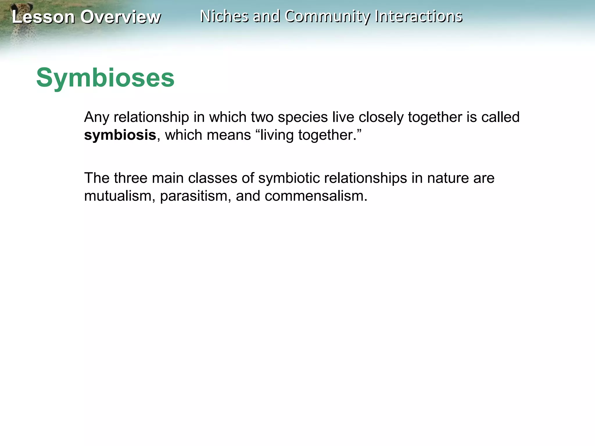 Lesson Overview

Niches and Community Interactions

Symbioses
Any relationship in which two species live closely together is called
symbiosis, which means “living together.”
The three main classes of symbiotic relationships in nature are
mutualism, parasitism, and commensalism.

 
