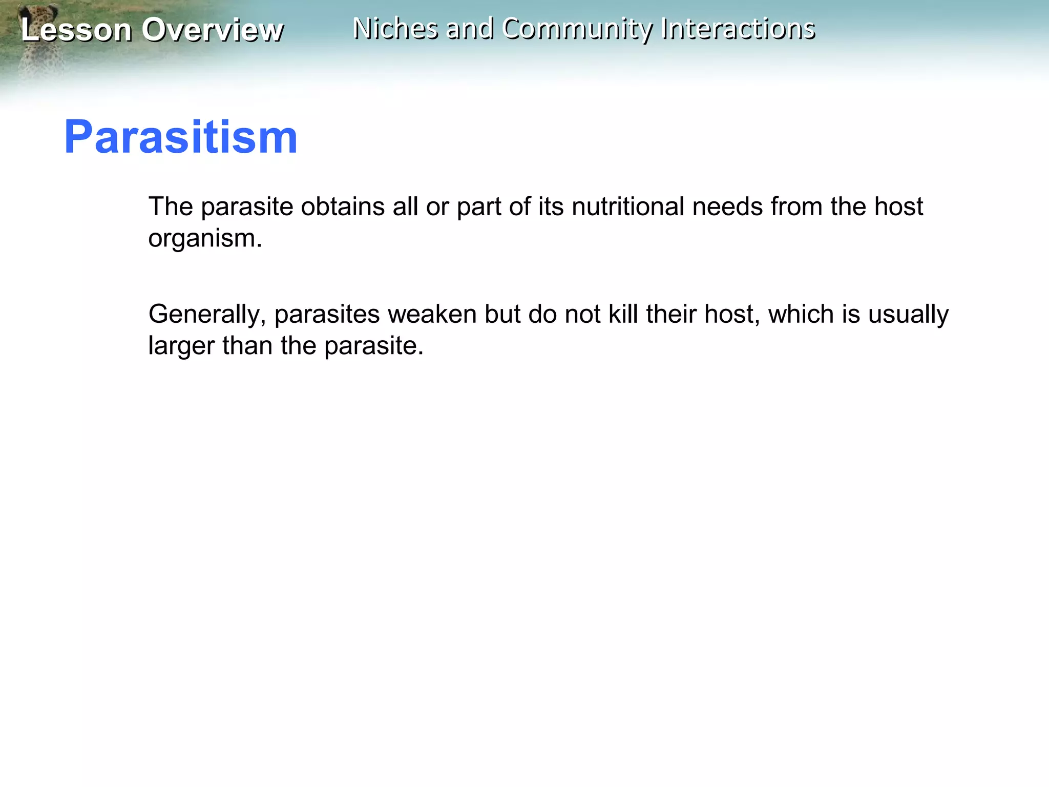 Lesson Overview

Niches and Community Interactions

Parasitism
The parasite obtains all or part of its nutritional needs from the host
organism.
Generally, parasites weaken but do not kill their host, which is usually
larger than the parasite.

 
