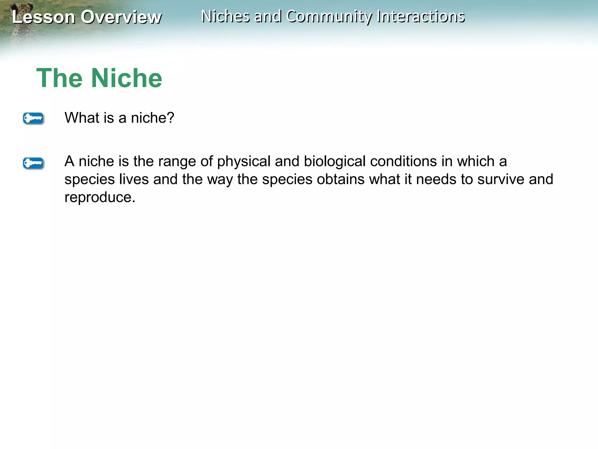 Lesson Overview

Niches and Community Interactions

The Niche
What is a niche?
A niche is the range of physical and biological conditions in which a
species lives and the way the species obtains what it needs to survive and
reproduce.

 