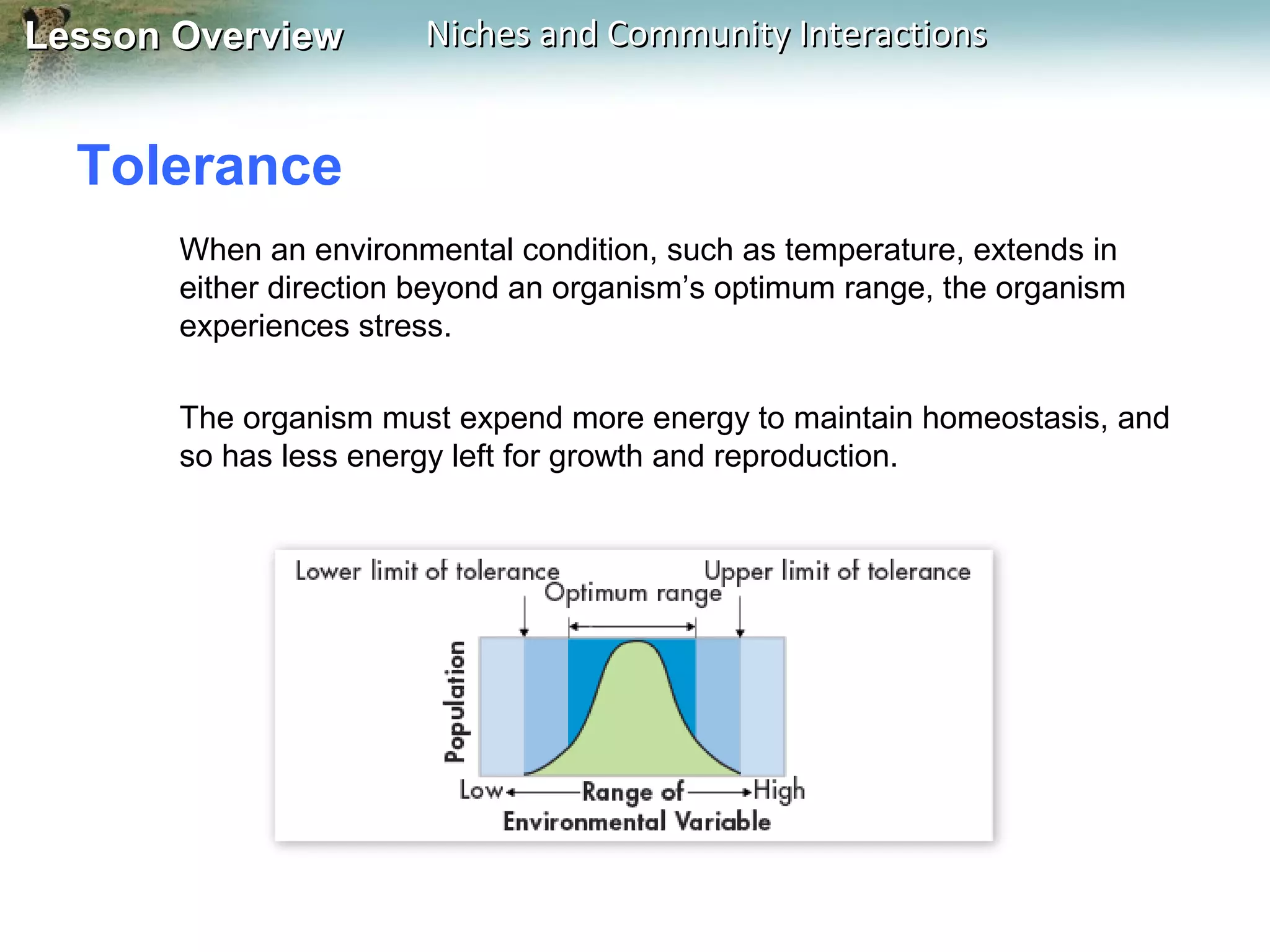 Lesson Overview

Niches and Community Interactions

Tolerance
When an environmental condition, such as temperature, extends in
either direction beyond an organism’s optimum range, the organism
experiences stress.
The organism must expend more energy to maintain homeostasis, and
so has less energy left for growth and reproduction.

 
