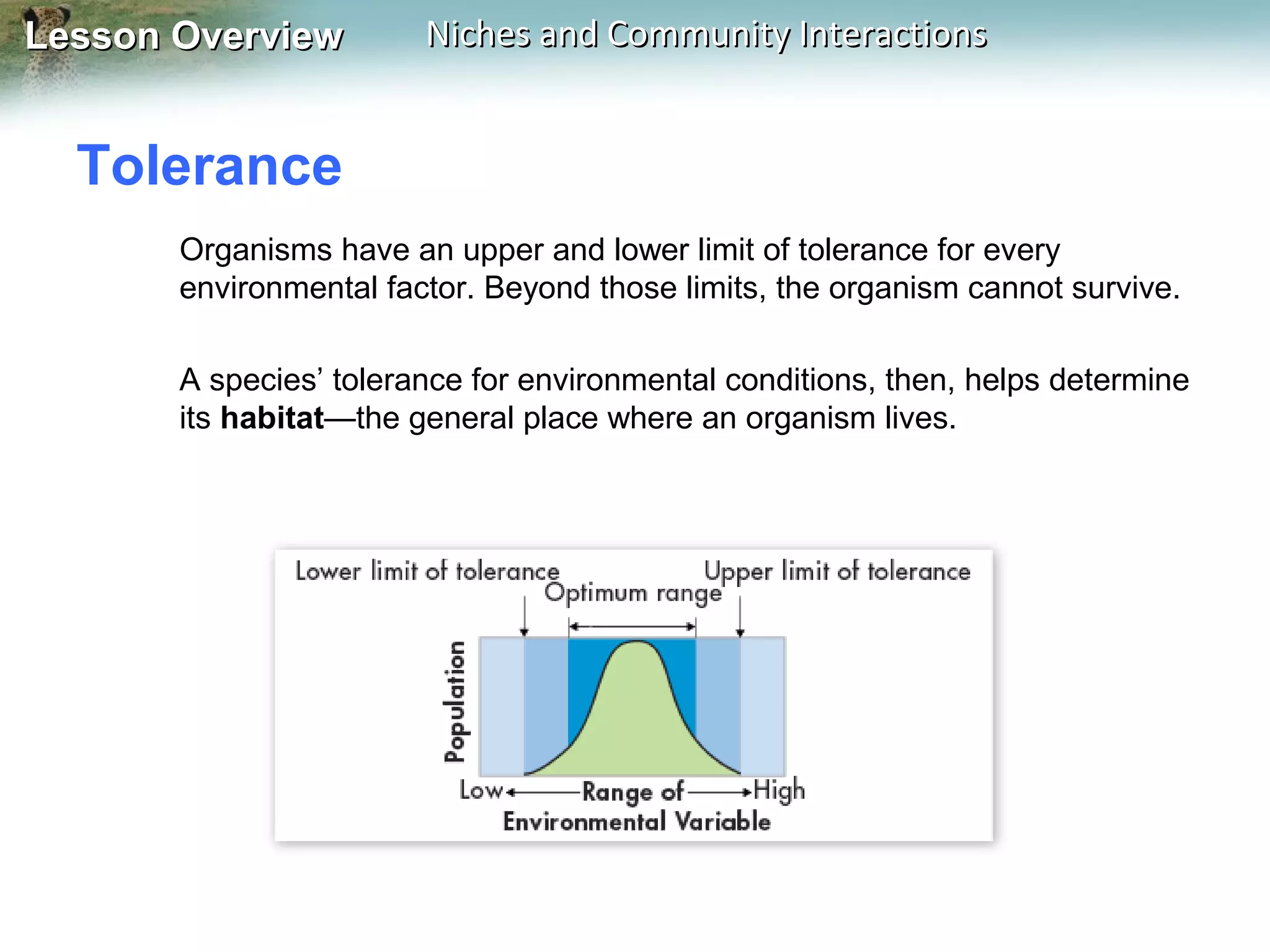 Lesson Overview

Niches and Community Interactions

Tolerance
Organisms have an upper and lower limit of tolerance for every
environmental factor. Beyond those limits, the organism cannot survive.
A species’ tolerance for environmental conditions, then, helps determine
its habitat—the general place where an organism lives.

 