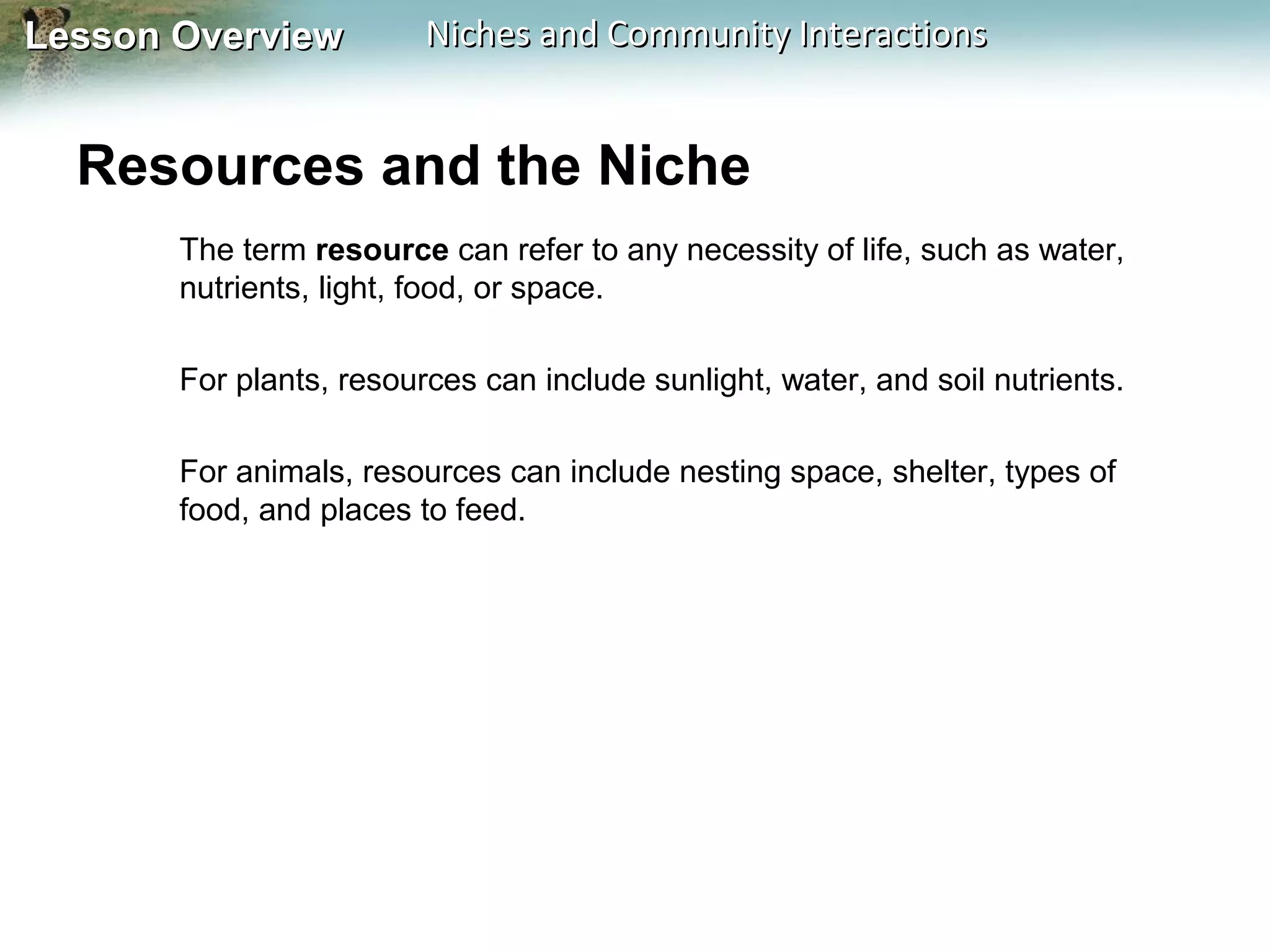 Lesson Overview

Niches and Community Interactions

Resources and the Niche
The term resource can refer to any necessity of life, such as water,
nutrients, light, food, or space.
For plants, resources can include sunlight, water, and soil nutrients.
For animals, resources can include nesting space, shelter, types of
food, and places to feed.

 