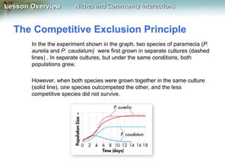 Lesson Overview

Niches and Community Interactions

The Competitive Exclusion Principle
In the the experiment shown in the graph, two species of paramecia (P.
aurelia and P. caudatum) were first grown in separate cultures (dashed
lines) . In separate cultures, but under the same conditions, both
populations grew.
However, when both species were grown together in the same culture
(solid line), one species outcompeted the other, and the less
competitive species did not survive.

 