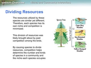 Lesson Overview

Niches and Community Interactions

Dividing Resources
The resources utilized by these
species are similar yet different.
Therefore, each species has its
own niche and competition is
minimized.
This division of resources was
likely brought about by past
competition among the birds.
By causing species to divide
resources, competition helps
determine the number and kinds
of species in a community and
the niche each species occupies

 