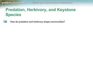 Lesson Overview

Niches and Community Interactions

Predation, Herbivory, and Keystone
Species
How do predation and herbivory shape communities?

 