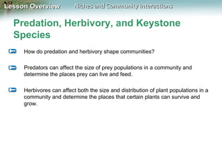 Lesson Overview

Niches and Community Interactions

Predation, Herbivory, and Keystone
Species
How do predation and herbivory shape communities?
Predators can affect the size of prey populations in a community and
determine the places prey can live and feed.
Herbivores can affect both the size and distribution of plant populations in a
community and determine the places that certain plants can survive and
grow.

 