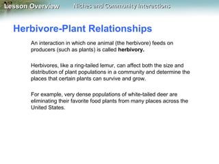Lesson Overview

Niches and Community Interactions

Herbivore-Plant Relationships
An interaction in which one animal (the herbivore) feeds on
producers (such as plants) is called herbivory.
Herbivores, like a ring-tailed lemur, can affect both the size and
distribution of plant populations in a community and determine the
places that certain plants can survive and grow.
For example, very dense populations of white-tailed deer are
eliminating their favorite food plants from many places across the
United States.

 