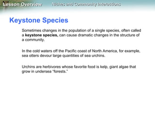 Lesson Overview

Niches and Community Interactions

Keystone Species
Sometimes changes in the population of a single species, often called
a keystone species, can cause dramatic changes in the structure of
a community.
In the cold waters off the Pacific coast of North America, for example,
sea otters devour large quantities of sea urchins.
Urchins are herbivores whose favorite food is kelp, giant algae that
grow in undersea “forests.”

 