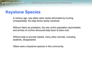 Lesson Overview

Niches and Community Interactions

Keystone Species
A century ago, sea otters were nearly eliminated by hunting.
Unexpectedly, the kelp forest nearly vanished.
Without otters as predators, the sea urchin population skyrocketed,
and armies of urchins devoured kelp down to bare rock.
Without kelp to provide habitat, many other animals, including
seabirds, disappeared.
Otters were a keystone species in this community.

 