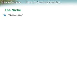 Lesson Overview

The Niche
What is a niche?

Niches and Community Interactions

 