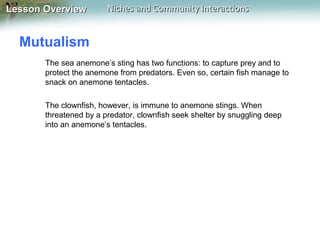 Lesson Overview

Niches and Community Interactions

Mutualism
The sea anemone’s sting has two functions: to capture prey and to
protect the anemone from predators. Even so, certain fish manage to
snack on anemone tentacles.
The clownfish, however, is immune to anemone stings. When
threatened by a predator, clownfish seek shelter by snuggling deep
into an anemone’s tentacles.

 