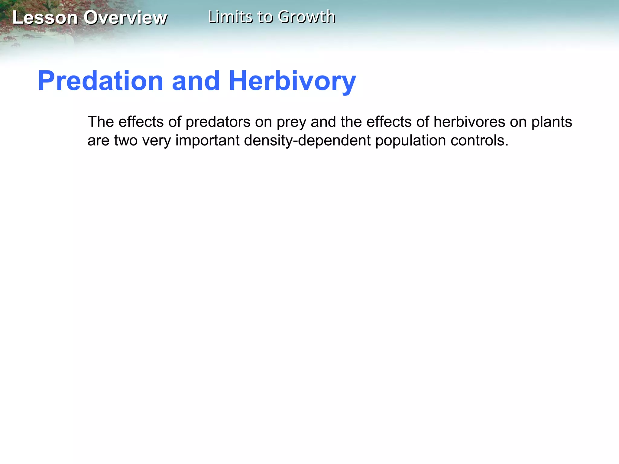 Lesson Overview

Limits to Growth

Predation and Herbivory
The effects of predators on prey and the effects of herbivores on plants
are two very important density-dependent population controls.

 