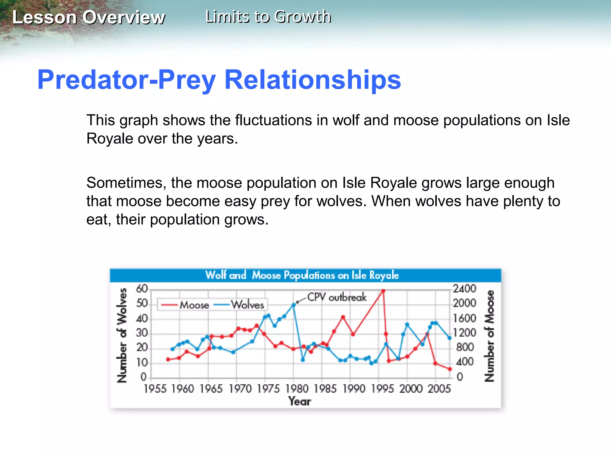 Lesson Overview

Limits to Growth

Predator-Prey Relationships
This graph shows the fluctuations in wolf and moose populations on Isle
Royale over the years.
Sometimes, the moose population on Isle Royale grows large enough
that moose become easy prey for wolves. When wolves have plenty to
eat, their population grows.

 