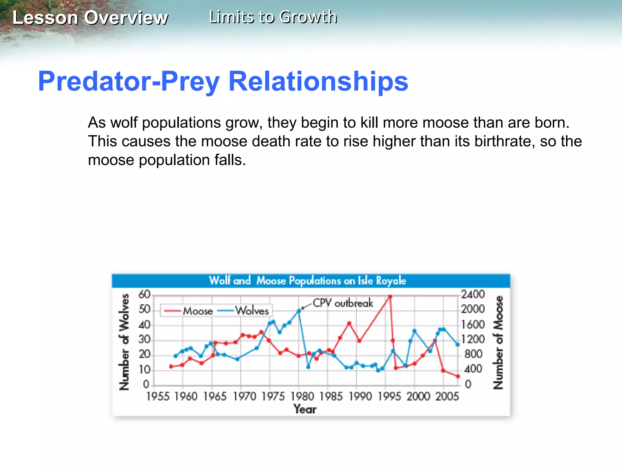 Lesson Overview

Limits to Growth

Predator-Prey Relationships
As wolf populations grow, they begin to kill more moose than are born.
This causes the moose death rate to rise higher than its birthrate, so the
moose population falls.

 