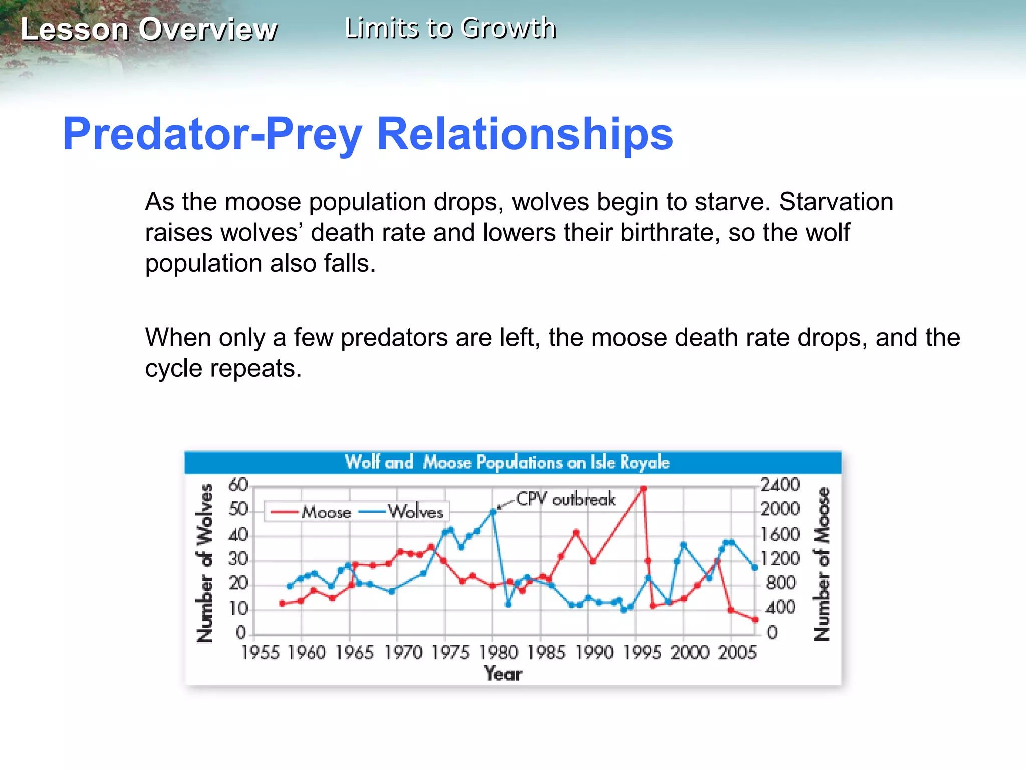 Lesson Overview

Limits to Growth

Predator-Prey Relationships
As the moose population drops, wolves begin to starve. Starvation
raises wolves’ death rate and lowers their birthrate, so the wolf
population also falls.
When only a few predators are left, the moose death rate drops, and the
cycle repeats.

 