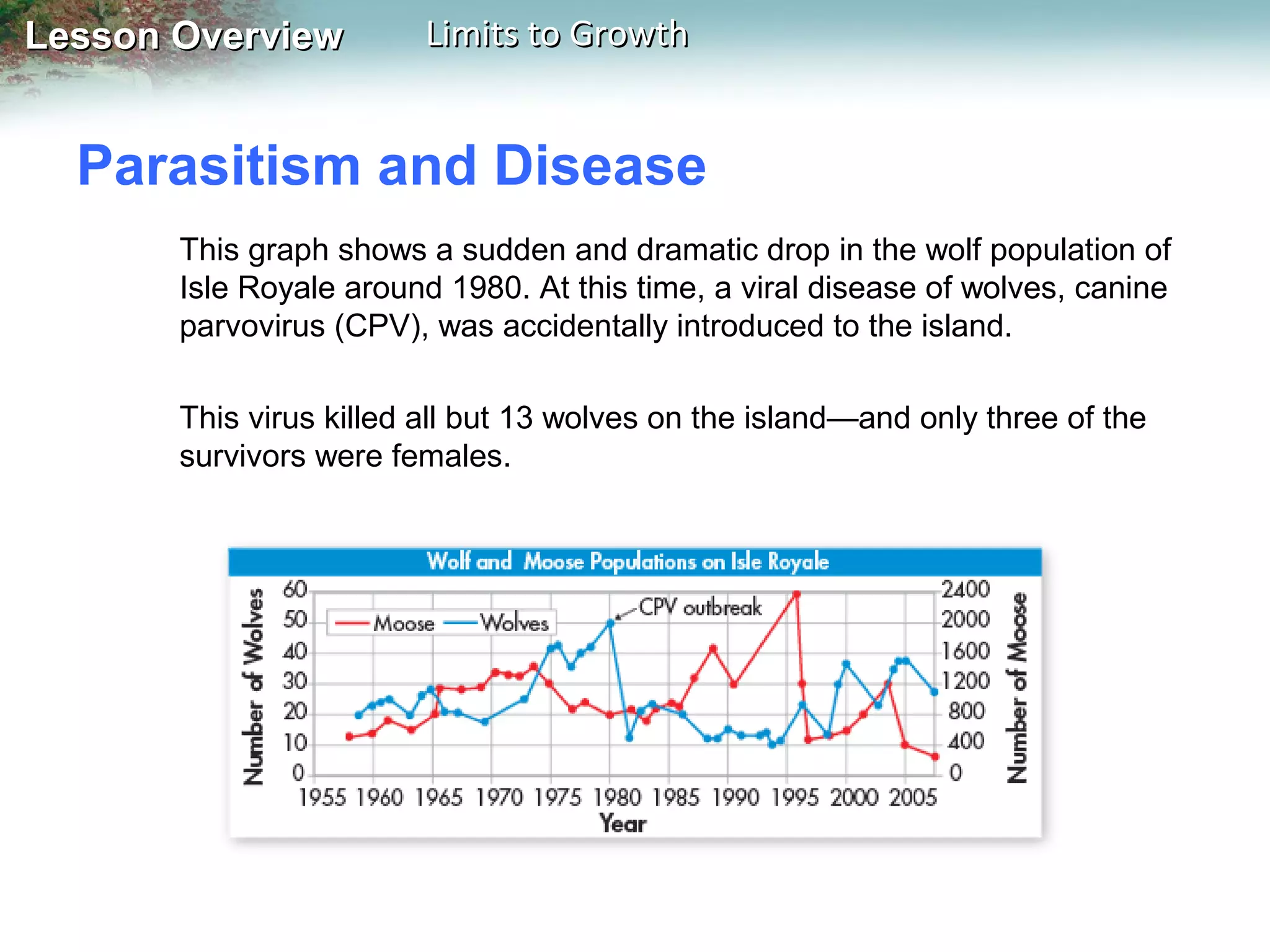 Lesson Overview

Limits to Growth

Parasitism and Disease
This graph shows a sudden and dramatic drop in the wolf population of
Isle Royale around 1980. At this time, a viral disease of wolves, canine
parvovirus (CPV), was accidentally introduced to the island.
This virus killed all but 13 wolves on the island—and only three of the
survivors were females.

 
