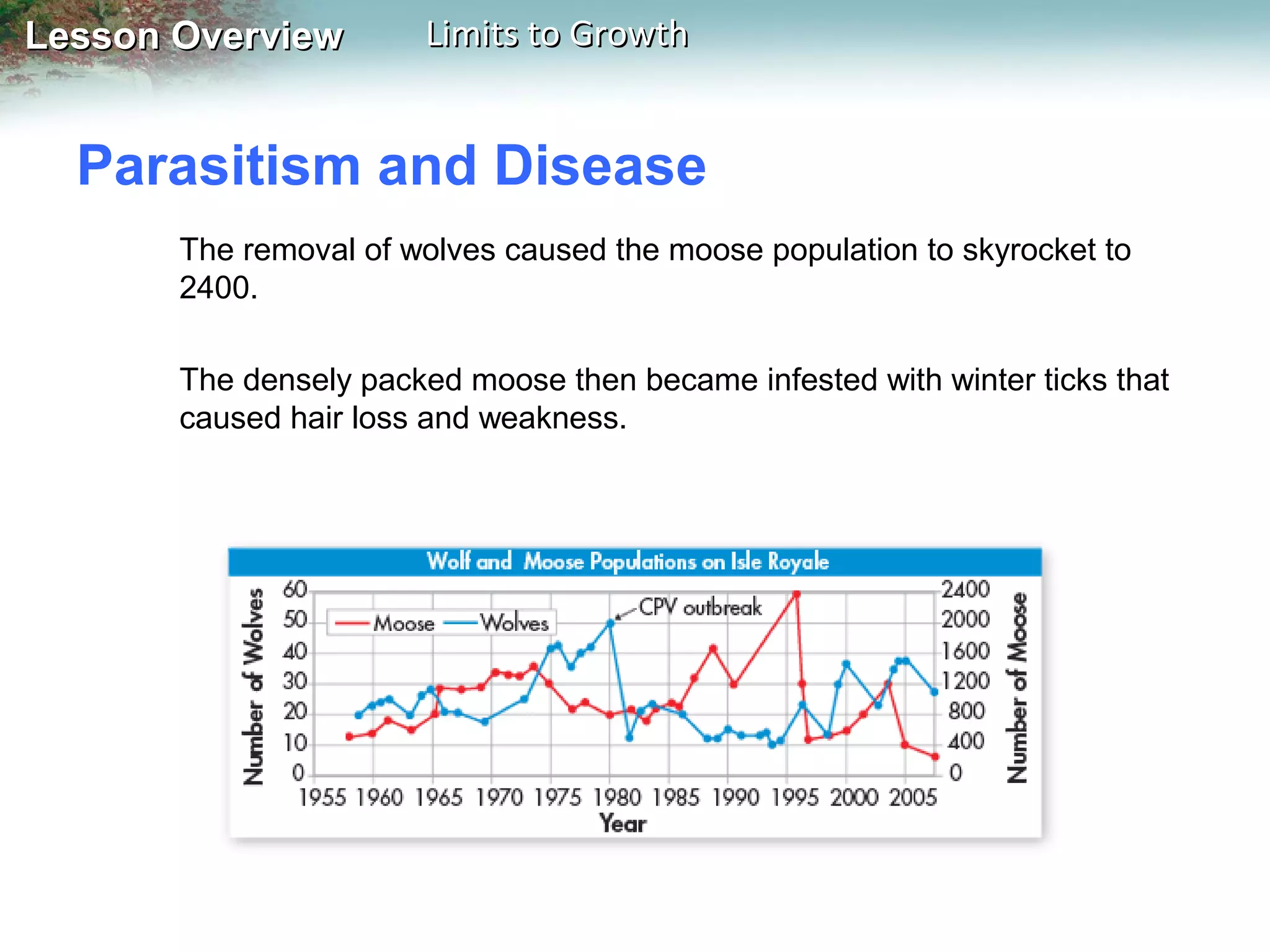Lesson Overview

Limits to Growth

Parasitism and Disease
The removal of wolves caused the moose population to skyrocket to
2400.
The densely packed moose then became infested with winter ticks that
caused hair loss and weakness.

 
