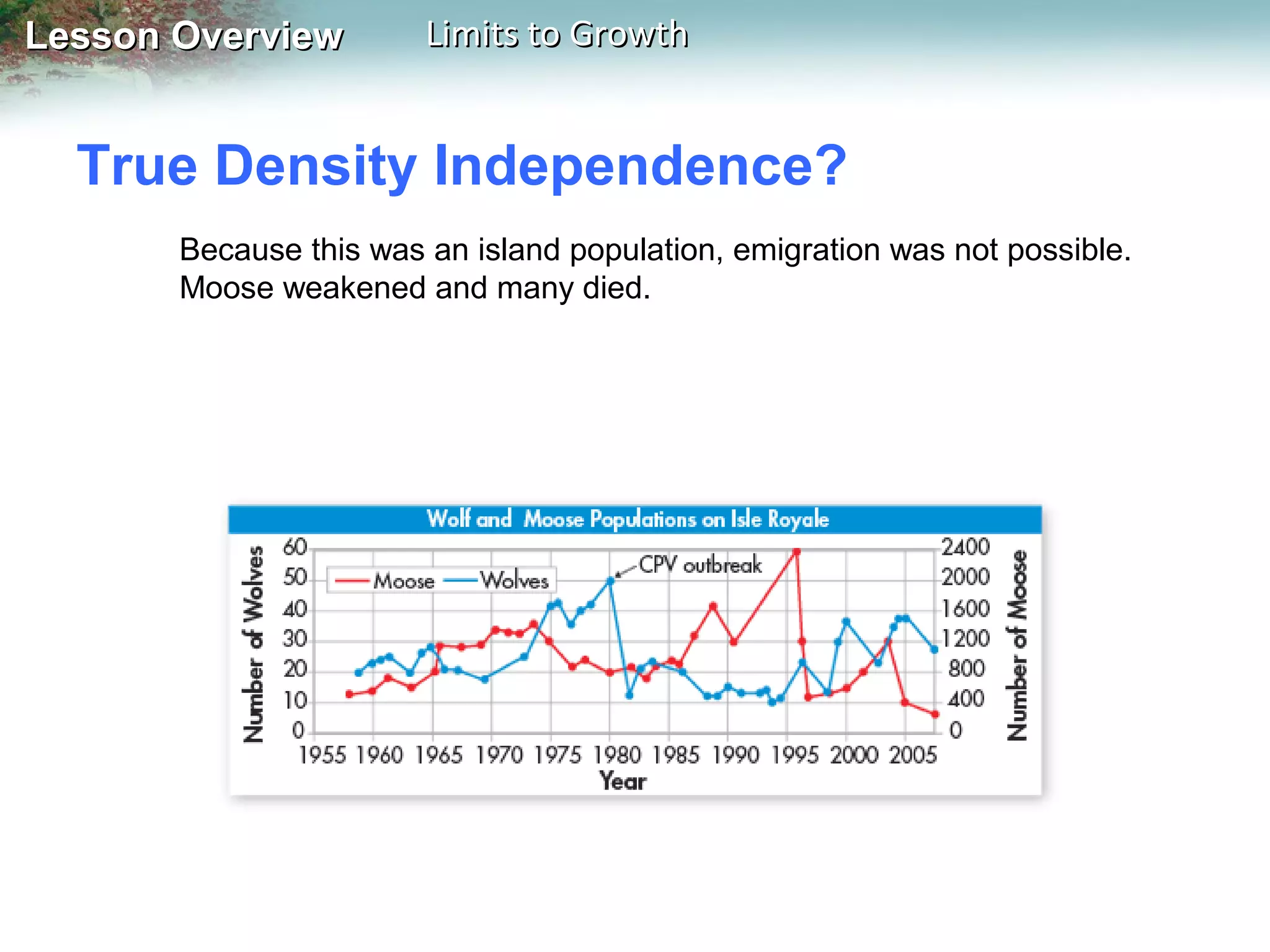 Lesson Overview

Limits to Growth

True Density Independence?
Because this was an island population, emigration was not possible.
Moose weakened and many died.

 