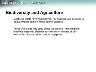Lesson Overview

Biodiversity

Biodiversity and Agriculture
Most crop plants have wild relatives. For example, wild potatoes in
South America come in many colorful varieties.
These wild plants may carry genes we can use—through plant
breeding or genetic engineering—to transfer disease or pest
resistance, or other useful traits, to crop plants.

 