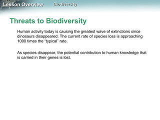 Lesson Overview

Biodiversity

Threats to Biodiversity
Human activity today is causing the greatest wave of extinctions since
dinosaurs disappeared. The current rate of species loss is approaching
1000 times the “typical” rate.
As species disappear, the potential contribution to human knowledge that
is carried in their genes is lost.

 