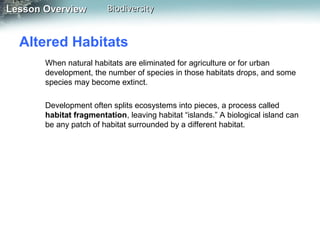 Lesson Overview

Biodiversity

Altered Habitats
When natural habitats are eliminated for agriculture or for urban
development, the number of species in those habitats drops, and some
species may become extinct.
Development often splits ecosystems into pieces, a process called
habitat fragmentation, leaving habitat “islands.” A biological island can
be any patch of habitat surrounded by a different habitat.

 