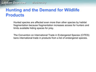 Lesson Overview

Biodiversity

Hunting and the Demand for Wildlife
Products
Hunted species are affected even more than other species by habitat
fragmentation because fragmentation increases access for hunters and
limits available hiding spaces for prey.
The Convention on International Trade in Endangered Species (CITES)
bans international trade in products from a list of endangered species.

 