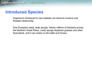 Lesson Overview

Biodiversity

Introduced Species
Organisms introduced to new habitats can become invasive and
threaten biodiversity.
One European weed, leafy spurge, infests millions of hectares across
the Northern Great Plains. Leafy spurge displaces grasses and other
food plants, and it can sicken or kill cattle and horses.

 
