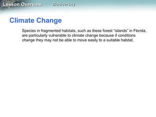 Lesson Overview

Biodiversity

Climate Change
Species in fragmented habitats, such as these forest “islands” in Florida,
are particularly vulnerable to climate change because if conditions
change they may not be able to move easily to a suitable habitat.

 