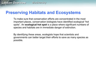 Lesson Overview

Biodiversity

Preserving Habitats and Ecosystems
To make sure that conservation efforts are concentrated in the most
important places, conservation biologists have identified ecological “hot
spots”. An ecological hot spot is a place where significant numbers of
species and habitats are in immediate danger of extinction.
By identifying these areas, ecologists hope that scientists and
governments can better target their efforts to save as many species as
possible.

 