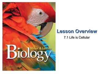 Lesson OverviewLesson Overview
7.1 Life is Cellular7.1 Life is Cellular
 