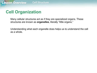 Lesson Overview Cell Structure
Cell Organization
Many cellular structures act as if they are specialized organs. These
structures are known as organelles, literally “little organs.”
Understanding what each organelle does helps us to understand the cell
as a whole.
 