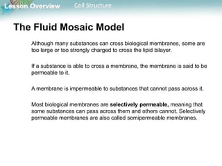 Lesson Overview Cell Structure
The Fluid Mosaic Model
Although many substances can cross biological membranes, some are
too large or too strongly charged to cross the lipid bilayer.
If a substance is able to cross a membrane, the membrane is said to be
permeable to it.
A membrane is impermeable to substances that cannot pass across it.
Most biological membranes are selectively permeable, meaning that
some substances can pass across them and others cannot. Selectively
permeable membranes are also called semipermeable membranes.
 