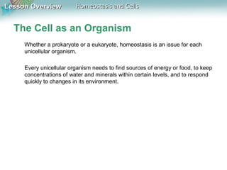 Lesson OverviewLesson Overview Homeostasis and CellsHomeostasis and Cells
The Cell as an Organism
Whether a prokaryote or a eukaryote, homeostasis is an issue for each
unicellular organism.
Every unicellular organism needs to find sources of energy or food, to keep
concentrations of water and minerals within certain levels, and to respond
quickly to changes in its environment.
 