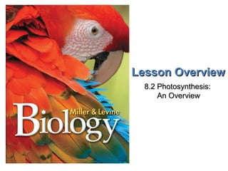 Lesson OverviewLesson Overview Photosynthesis: An OverviewPhotosynthesis: An Overview
Lesson OverviewLesson Overview
8.2 Photosynthesis:8.2 Photosynthesis:
An OverviewAn Overview
 